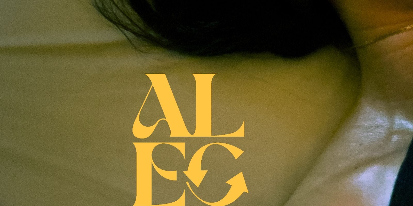 image slide